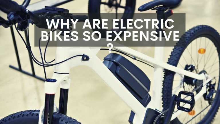 Why Are Electric Bikes So Expensive