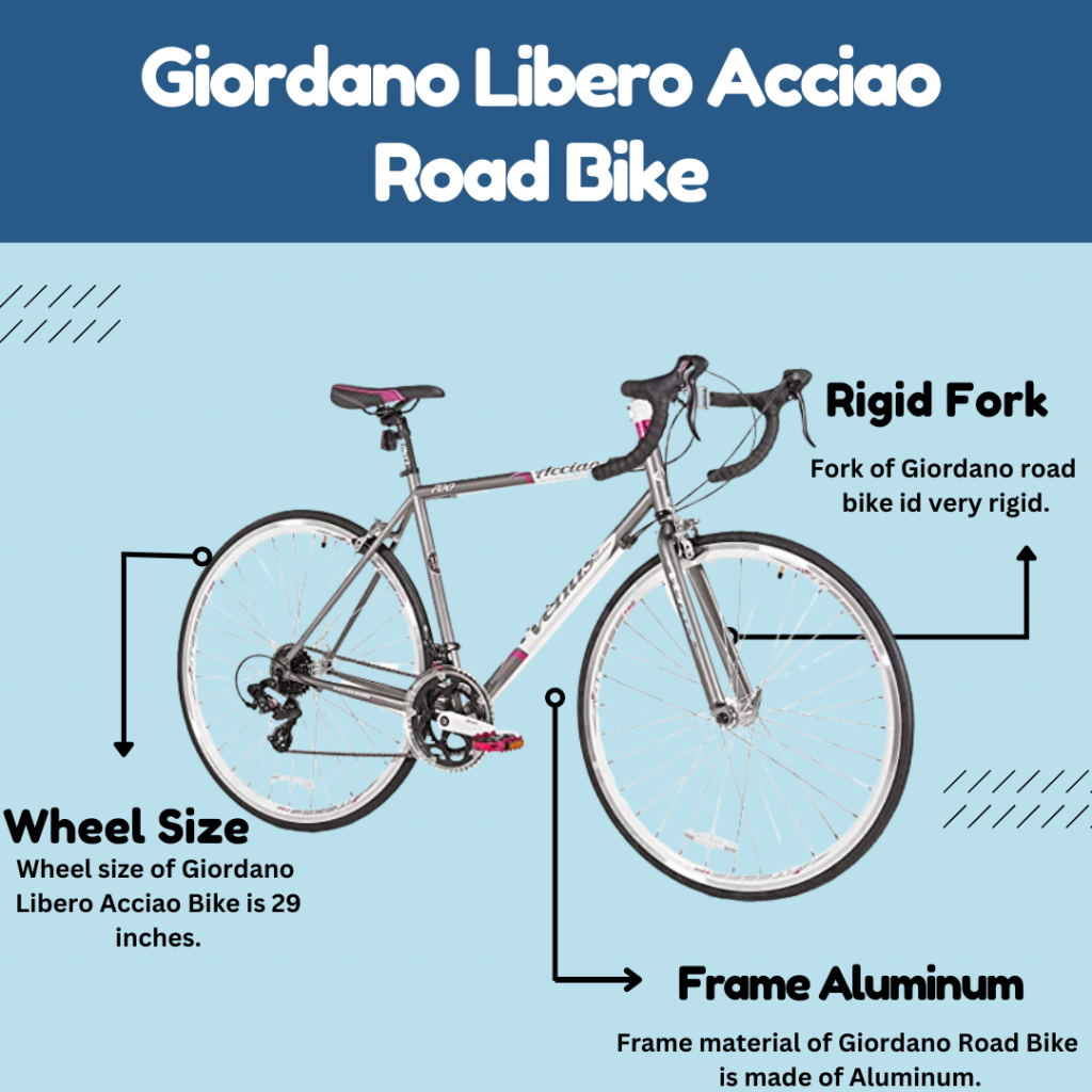 Giordano Libero Acciao Road Bike