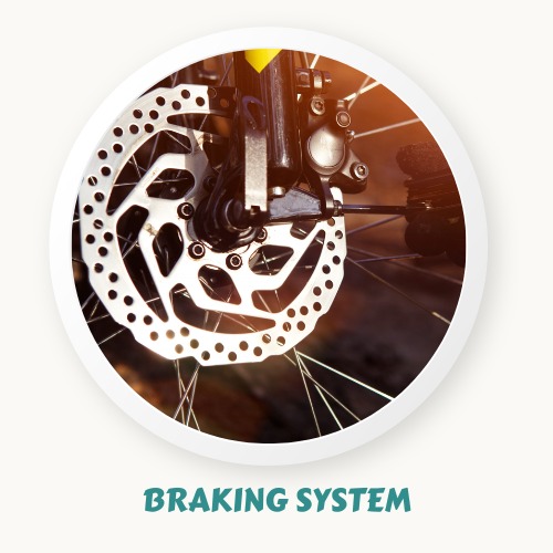 Braking System of Schwinn high timber Bike