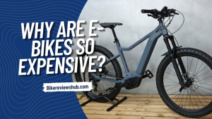 Why are E-Bikes so Expensive?